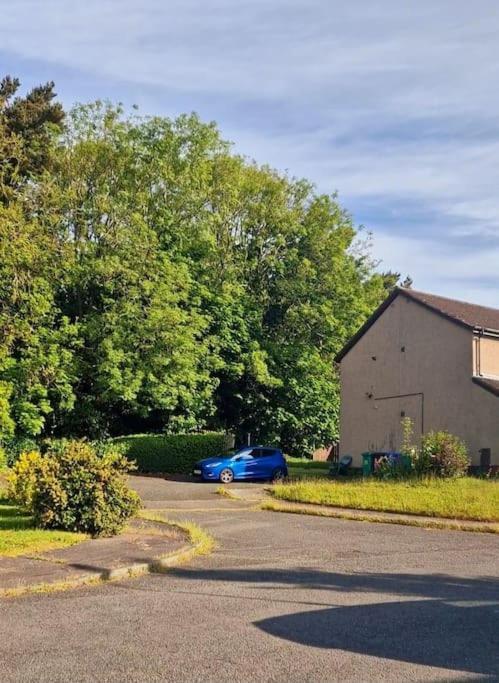 Yuriko Villa Saint Davids  Exteriör bild